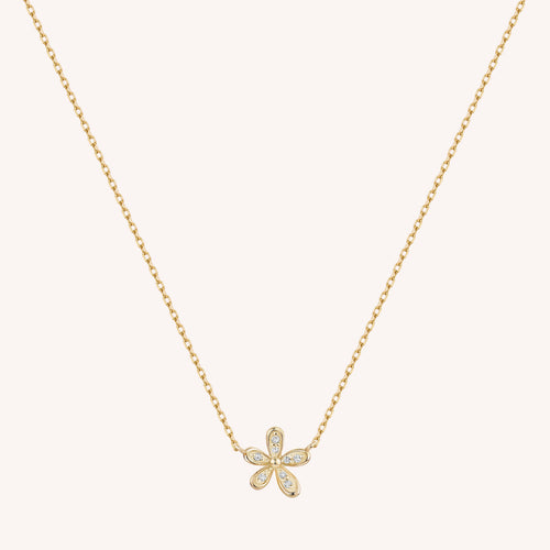 Color:Yellow Gold