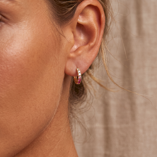 Pink Ombre Hoop Earrings
