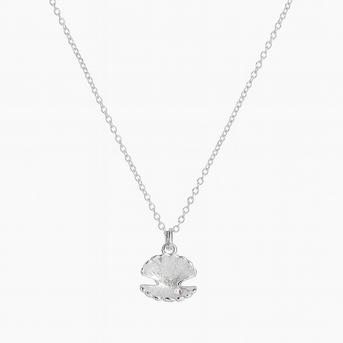Clam Shell Necklace