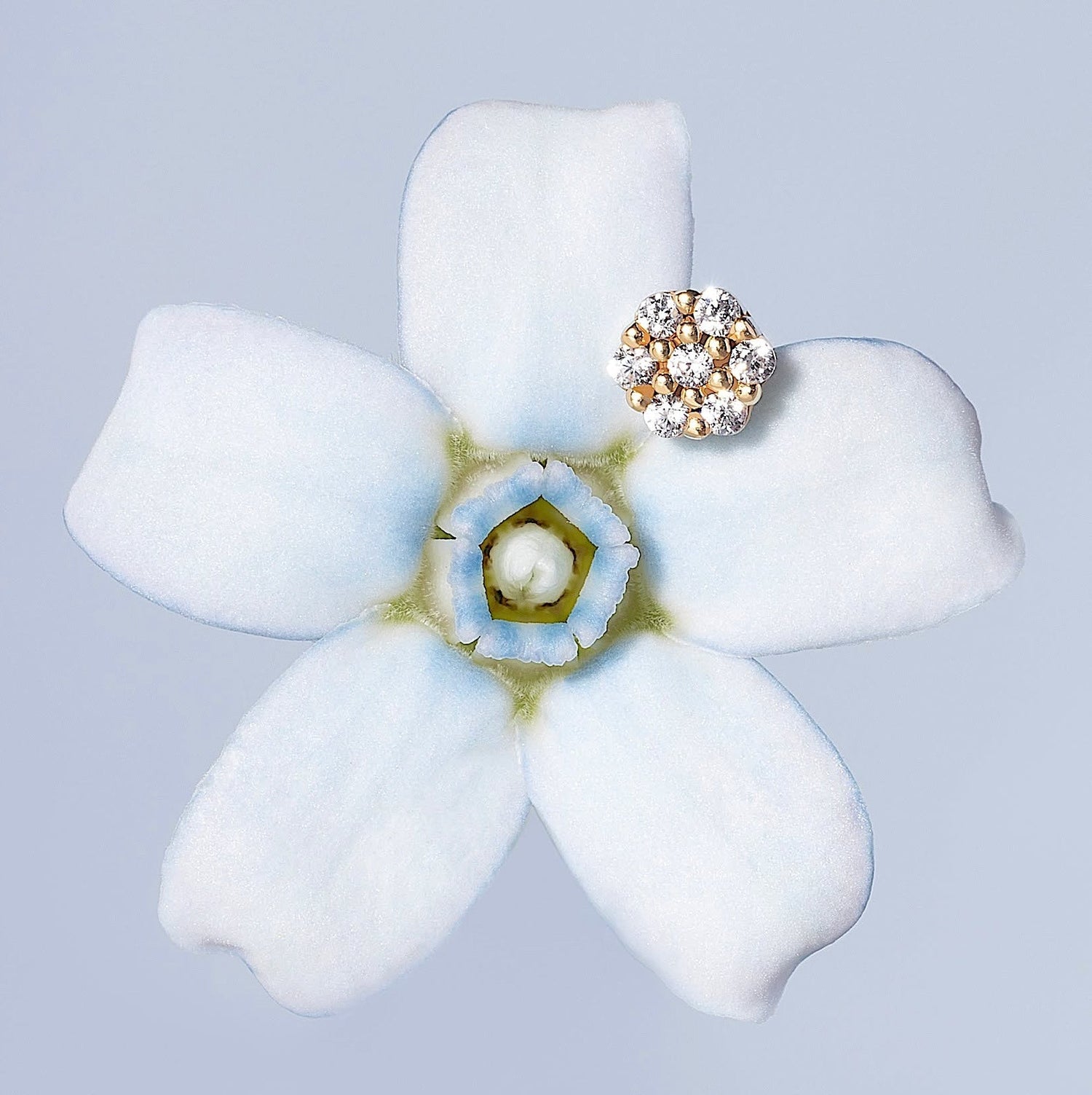 14K Solid Gold Mini Honeycomb Flatback Earring