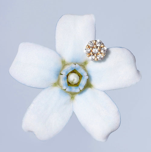 14K Solid Gold Mini Honeycomb Flatback Earring