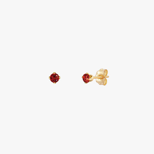 Sparkly Small Birthstones Stud Earrings