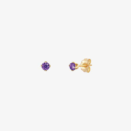 Sparkly Small Birthstones Stud Earrings