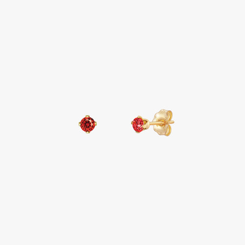 Sparkly Small Birthstones Stud Earrings