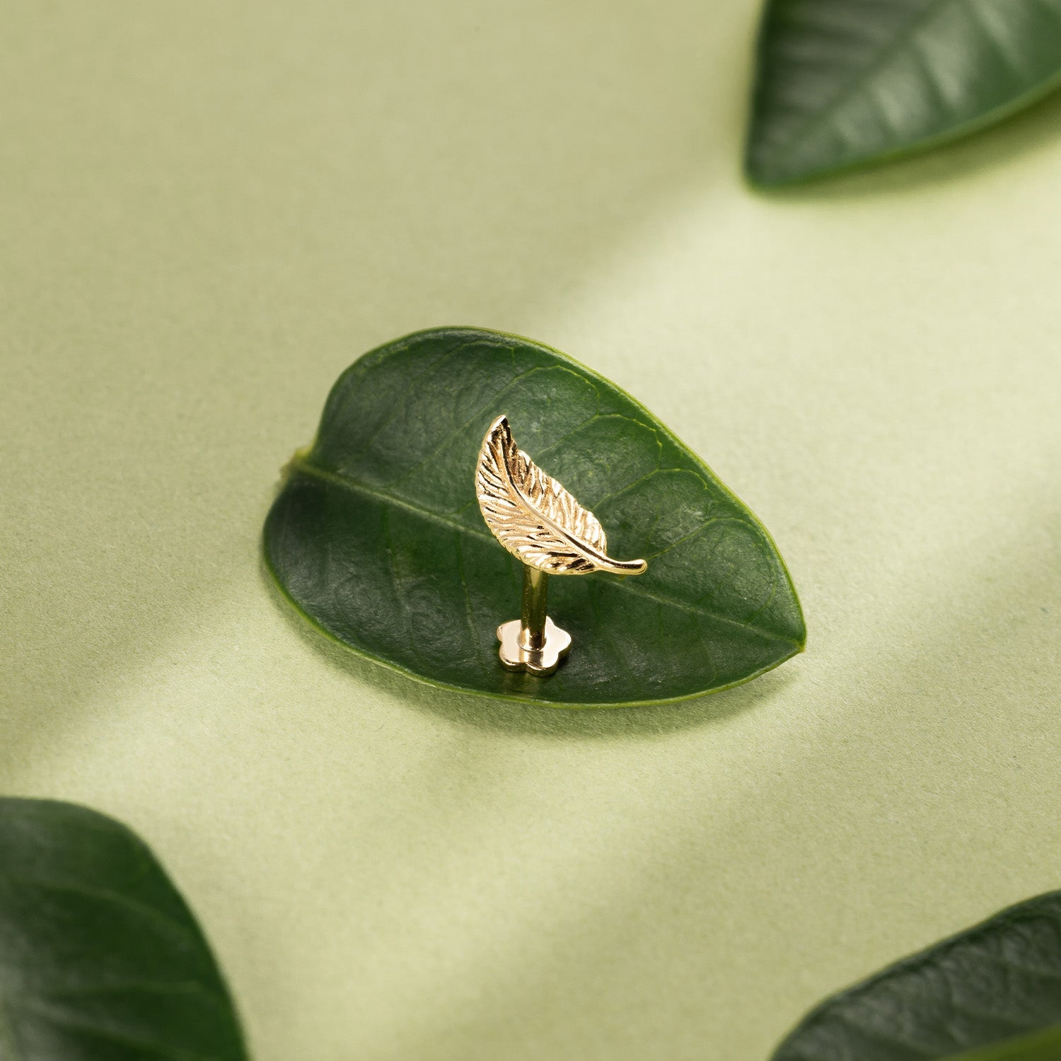 14K Solid Gold Single Leaf Flat Back Earring